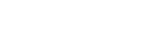 TikTok Ads